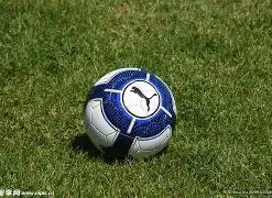 岁狮王斯旺,迪因心肌病,无奈告别赛,新葡京,新葡京app,新葡京娱乐,新普京赌场