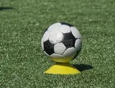 岁狮王斯旺,迪因心肌病,无奈告别赛,新葡京,新葡京app,新葡京娱乐,新普京赌场