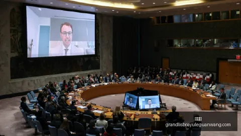 热门游戏销量，新葡京，攀升，玩家热议新机制